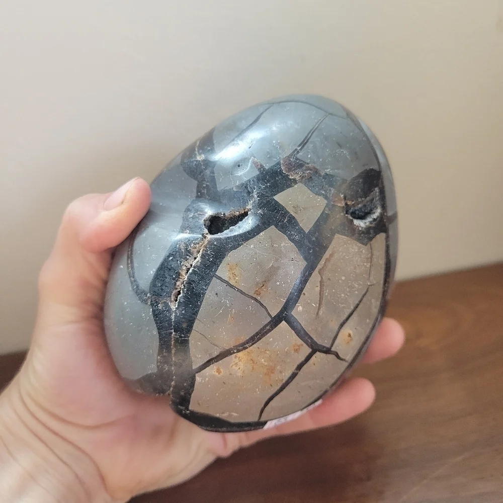 2.75 lb Septarian Partial Egg Black Crystal UV Light Reactive Statement Piece